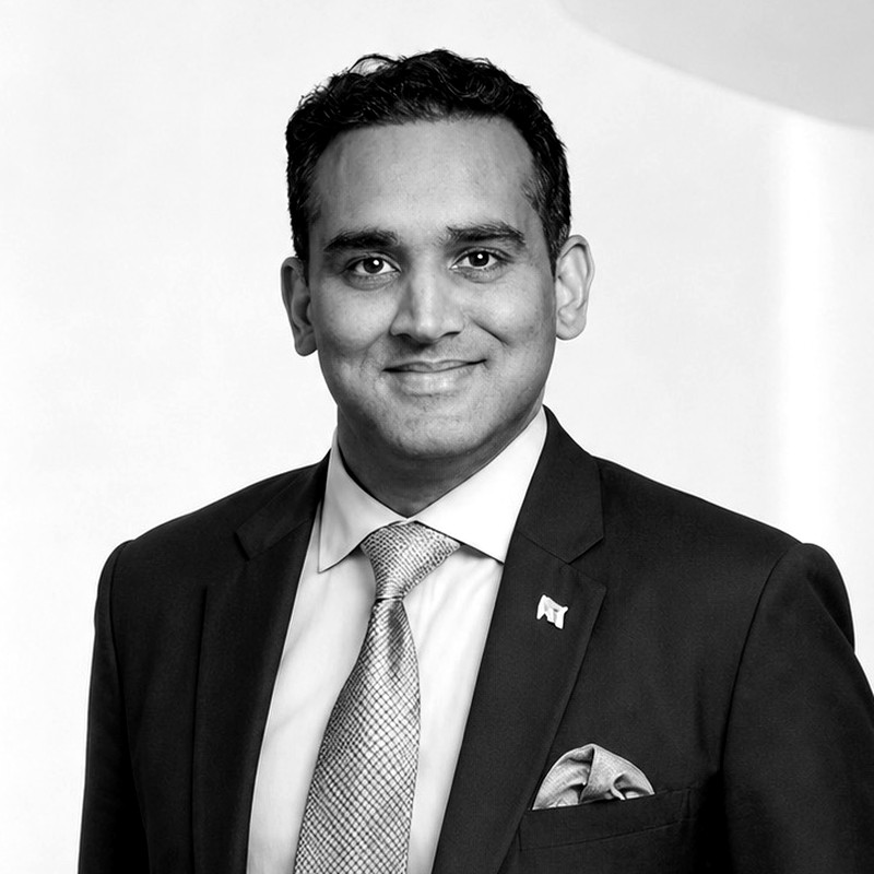 Portrait of Lord Aamer Sarfraz